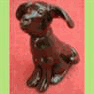 A8 Dog black labrador.gif